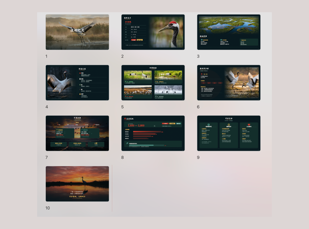 Nature Documentary — immersive photography, minimal UI